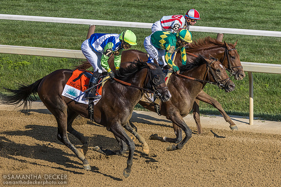 Curlin
