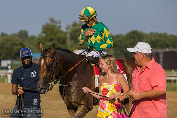 Curlin