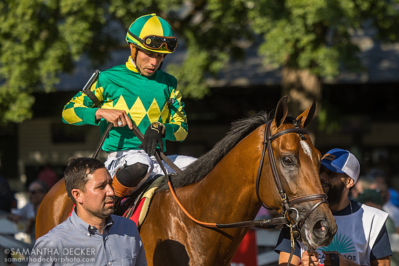 Curlin