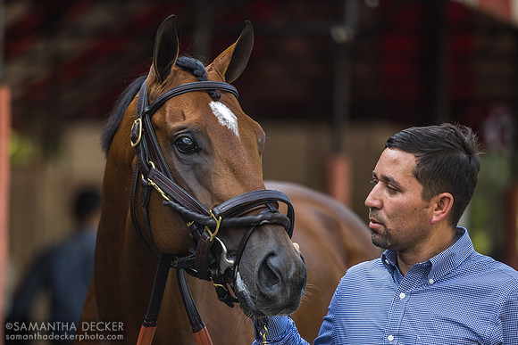 Curlin