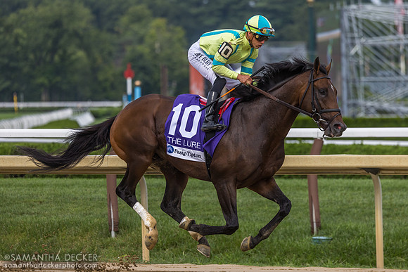 Film Star, winner of the Lure S.