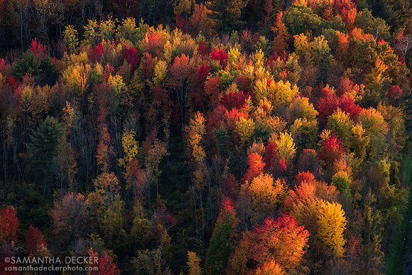 Fall Colors in Saratoga County, 2022