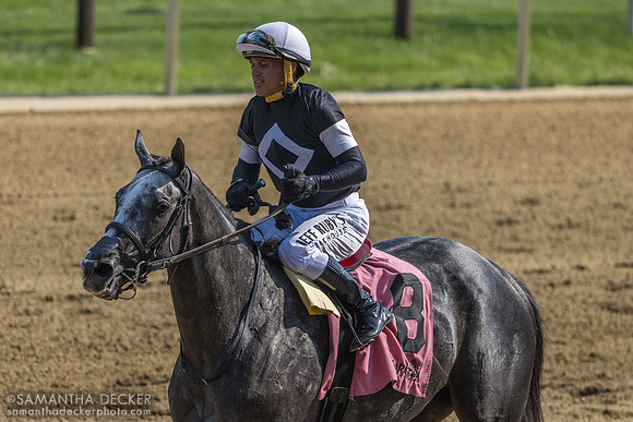 Javier Castellano on Time to Dazzle