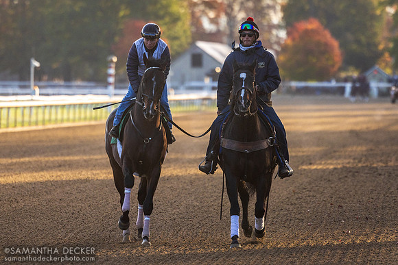 Sovereignty's last 2025 breeze at Saratoga