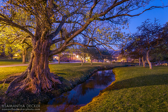 Congress Park, Saratoga Springs