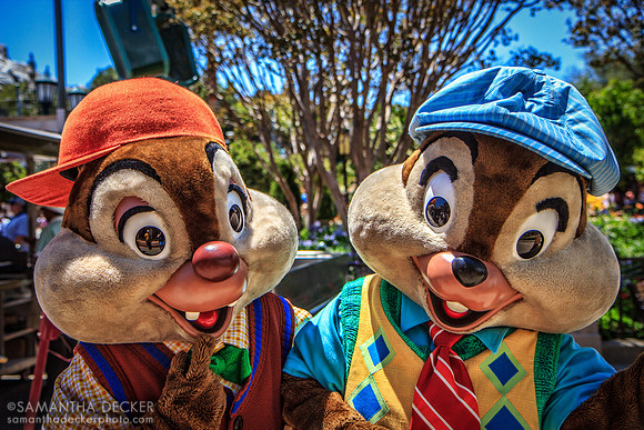 Chip and Dale, Disney's California Adventure