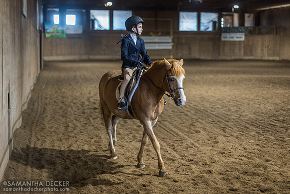 North Country Horses, Gansevoort, NY