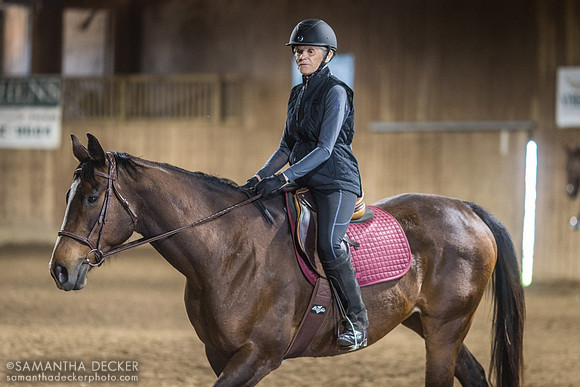 North Country Horses, Gansevoort, NY