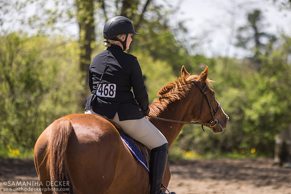 North Country Horses, Gansevoort, NY