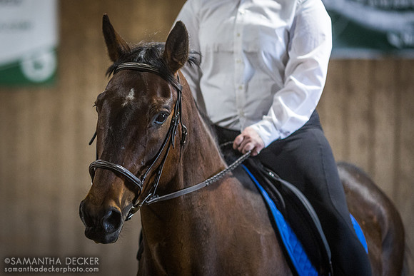 North Country Horses, Gansevoort, NY