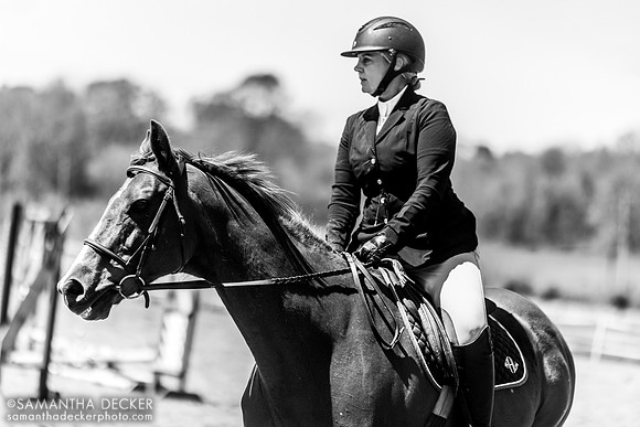 North Country Horses, Gansevoort, NY
