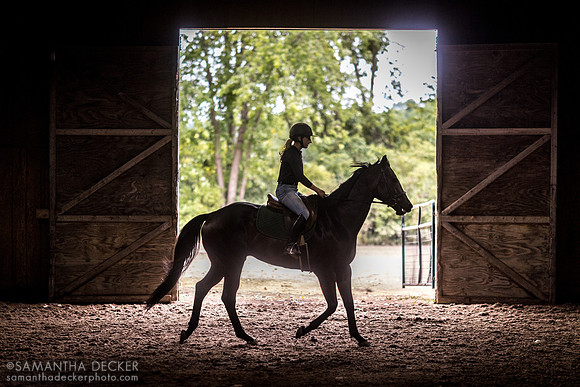 Kate Stephenson rides Eucharist at New Vocations in Gansevoort, NY