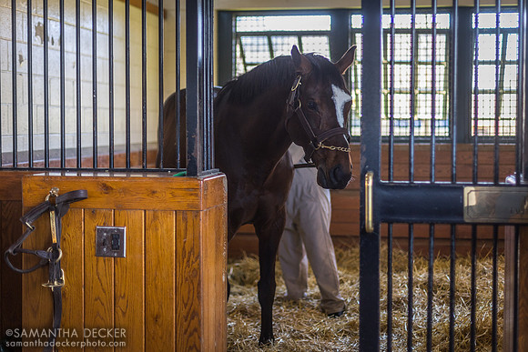 Tonalist