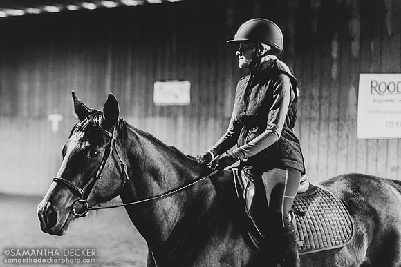North Country Horses, Gansevoort, NY
