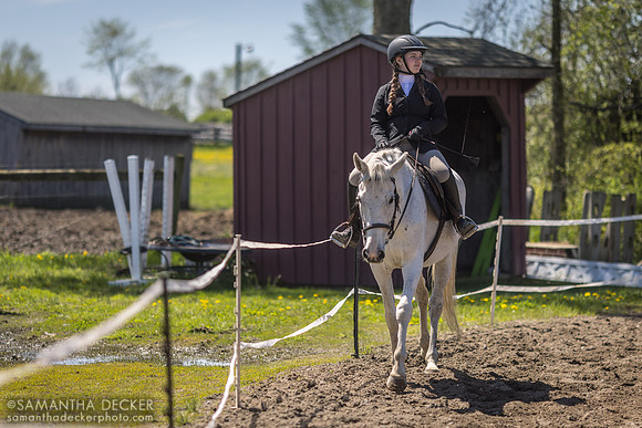 North Country Horses, Gansevoort, NY