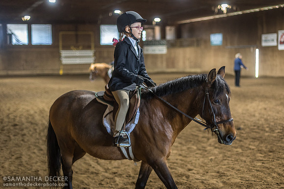 North Country Horses, Gansevoort, NY