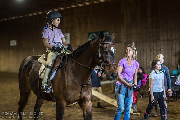 North Country Horses, Gansevoort, NY