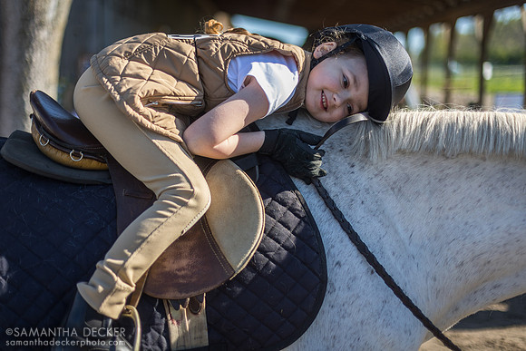 North Country Horses, Gansevoort, NY