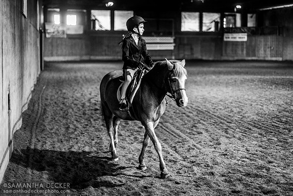 North Country Horses, Gansevoort, NY