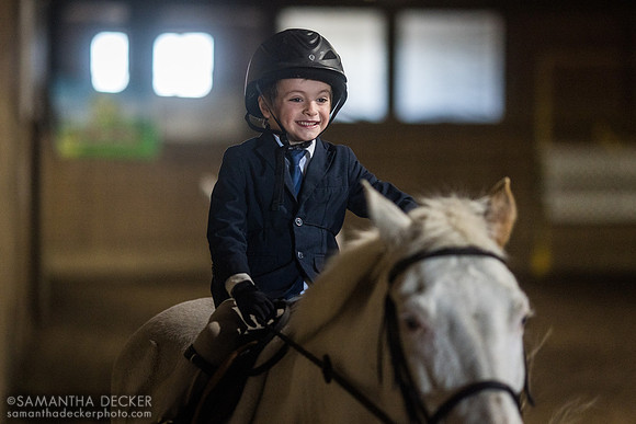 North Country Horses, Gansevoort, NY