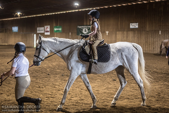 North Country Horses, Gansevoort, NY