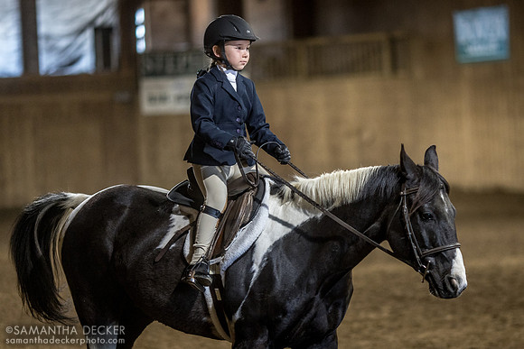North Country Horses, Gansevoort, NY