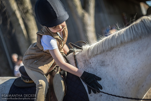 North Country Horses, Gansevoort, NY
