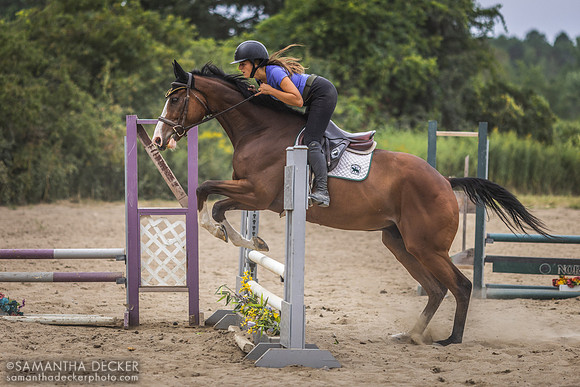 Alyssa jumps Soaring Star at New Vocations, Gansevoort, NY