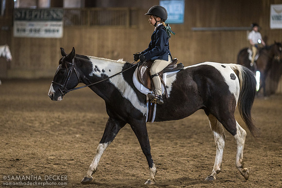 North Country Horses, Gansevoort, NY