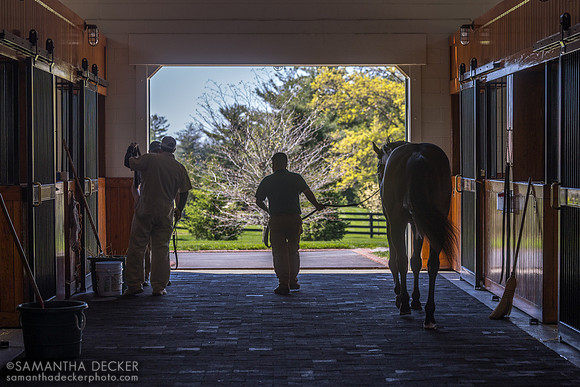 Flightline, Lane's End Farm, Versailles