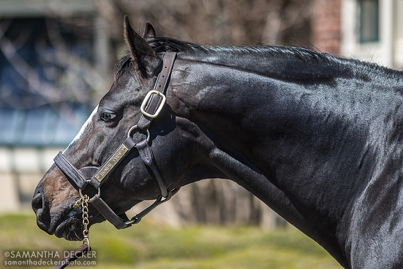 Honor Code