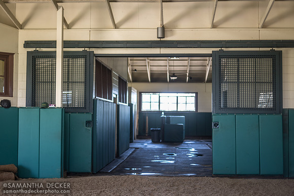 Stallion Shed