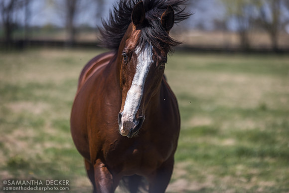 Union Rags