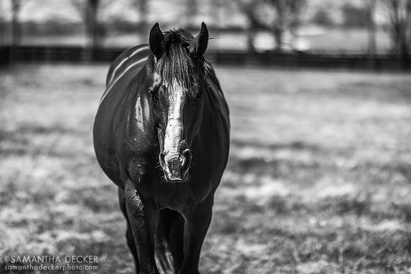 Union Rags