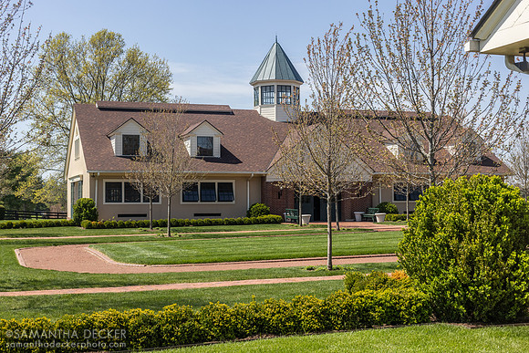 Lane's End Farm, Versailles