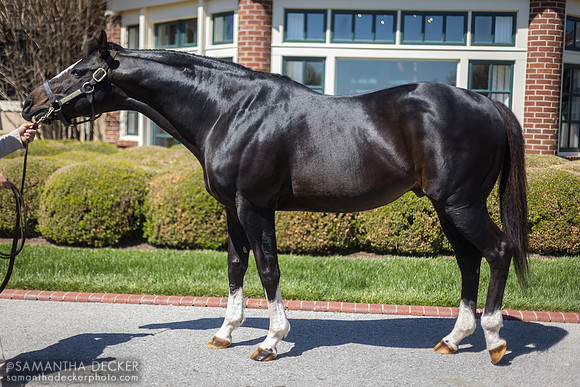 Honor Code