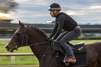 Geraldo Corrales on a Wesley Ward trainee at Keeneland, 2023