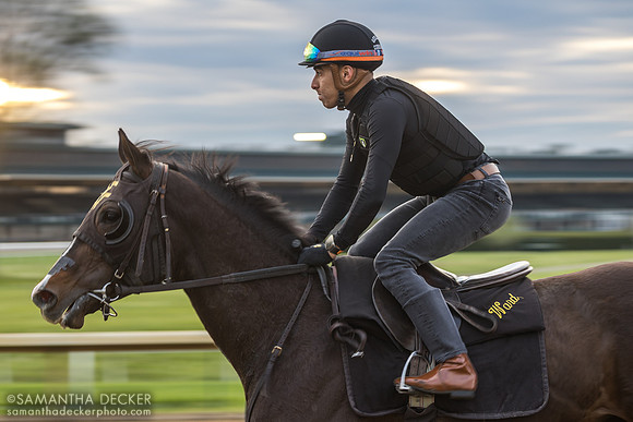 Geraldo Corrales on a Wesley Ward trainee at Keeneland, 2023