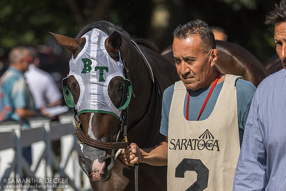 Tiz Dashing