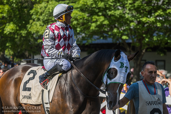 Tiz Dashing
