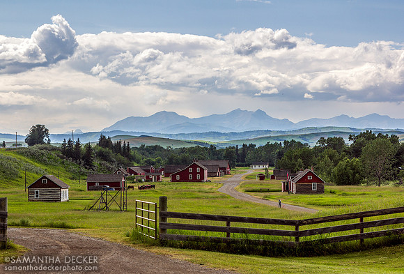 Bar U Ranch, 2015