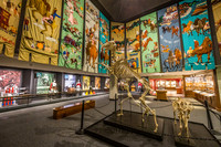 International Museum of the Horse