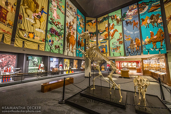 International Museum of the Horse