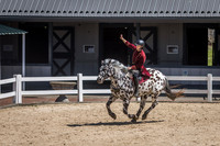 "O.B." Oberon de Fermes Boisvert, American Sugarbush Draft at Kentucky Horse Park