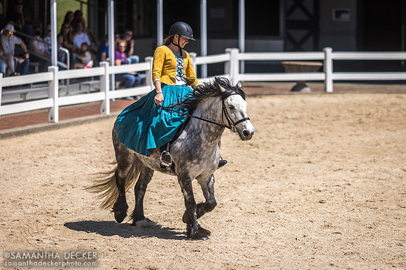 "Daisy" Scafell Pike's Instant Karma, Fell Pony at Kentucky Horse Park
