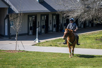 Police Horse at Kentucky Horse Park