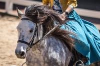 "Daisy" Scafell Pike's Instant Karma, Fell Pony at Kentucky Horse Park