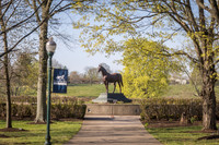 Man O' War