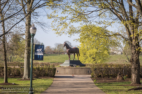 Man O' War