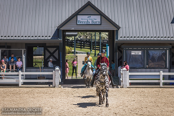 Parade of Breeds at Kentucky Horse Park